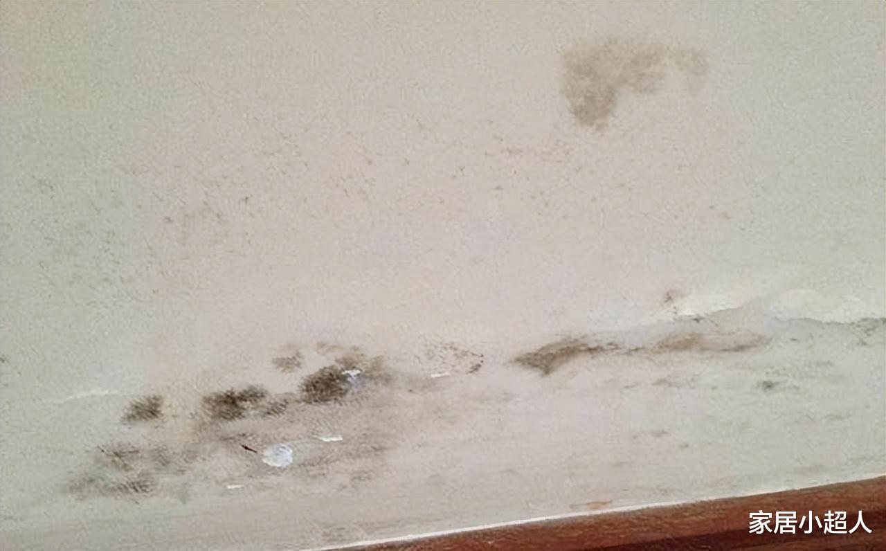 主卫改成衣帽间好不好?尝试后:当初多开心,现在就有多烦!