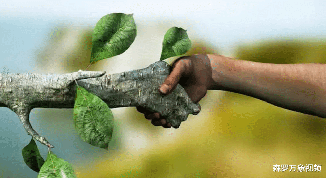 團風縣|因紐特人為何可以居住在零下50度的環境？在冰屋里生火不會化嗎？