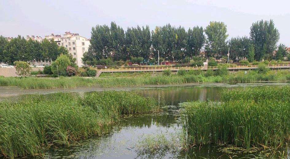 |男子在河中钓到青绿色“怪鱼”,网友:青衣鱼一斤要好几百