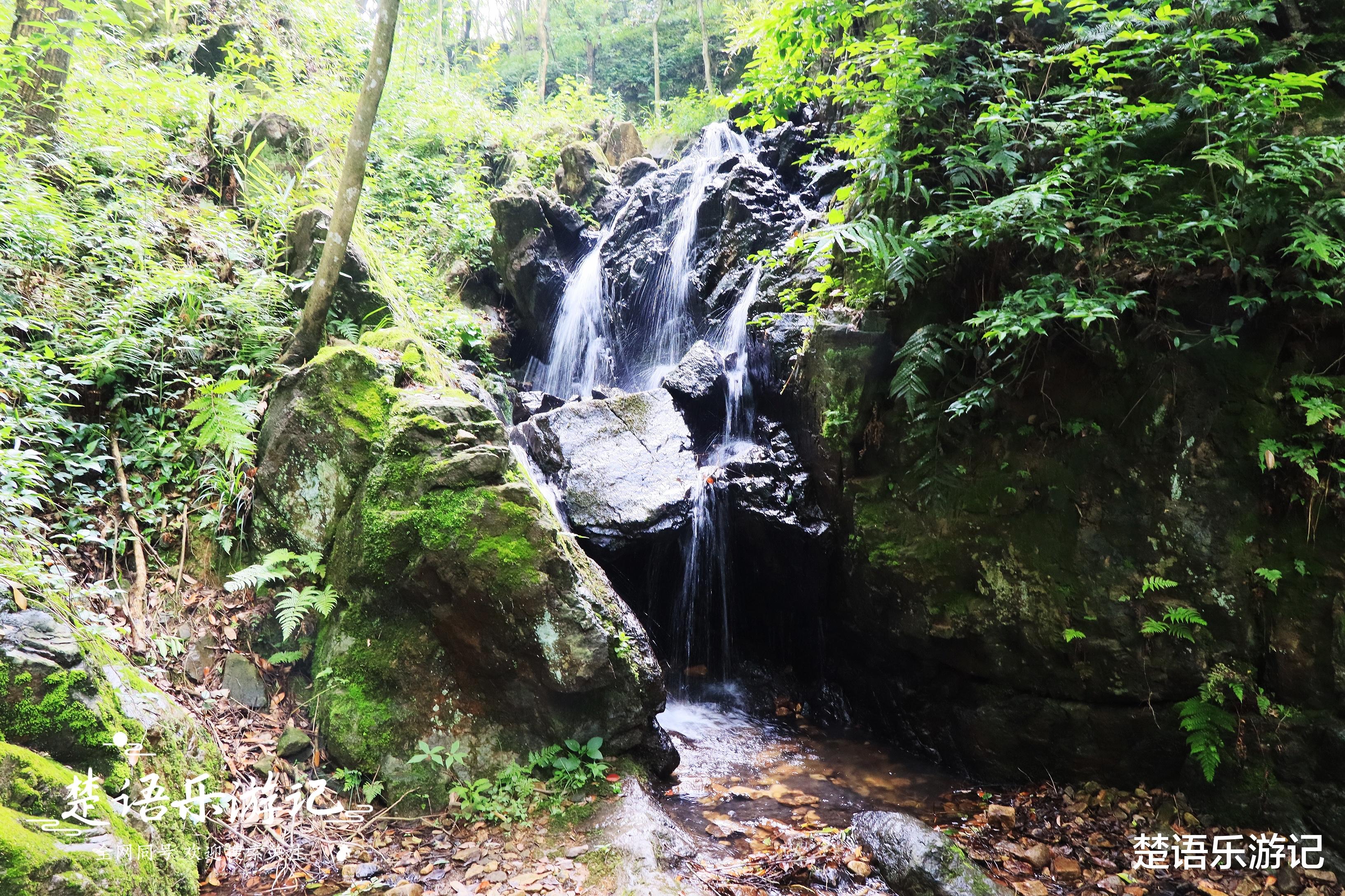 宁夏|宁波城西的美丽乡村,山涧古道瀑叠溪清,堪称浙东新九寨,美呆了