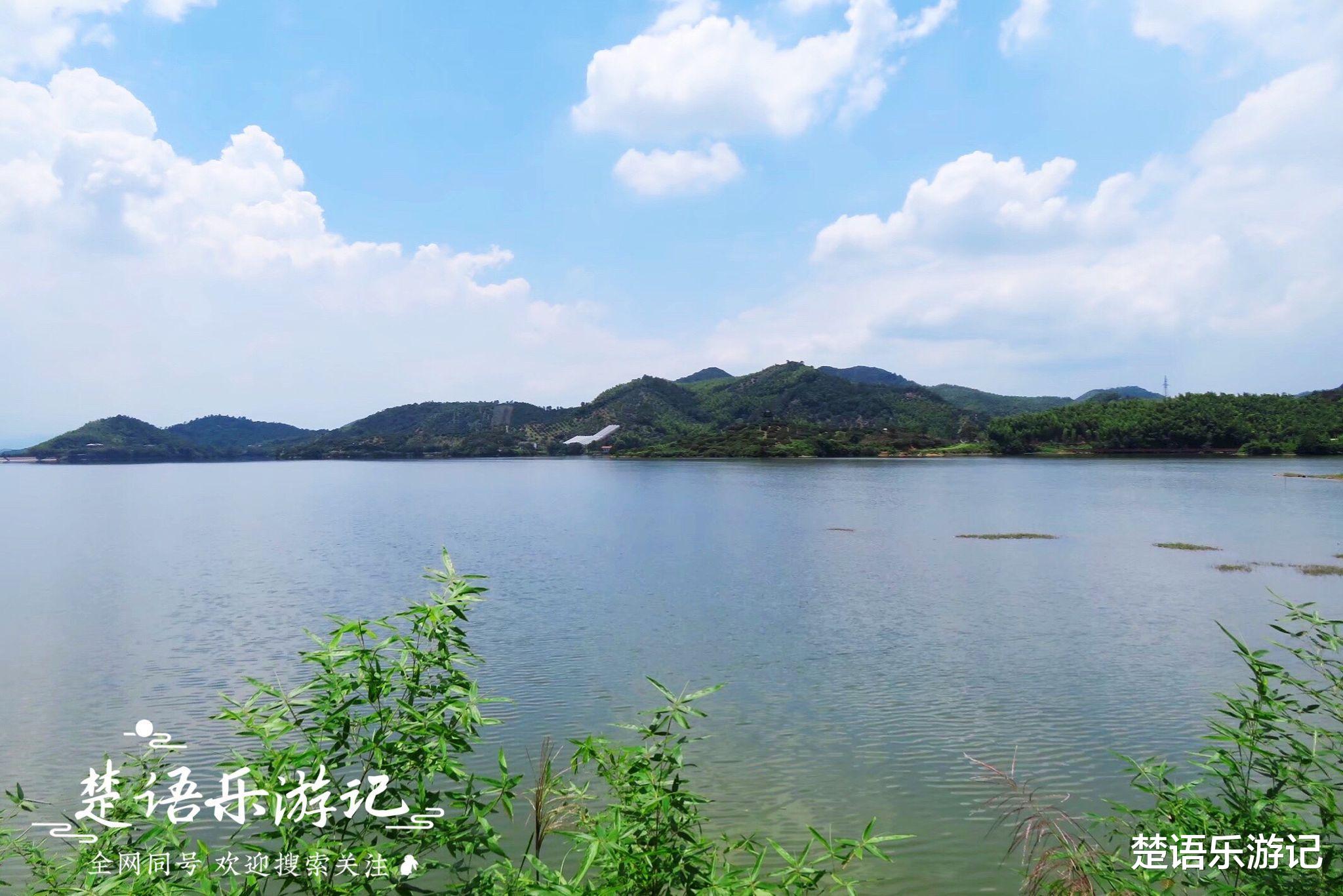 |浙江这个古村地处山岙，村头古道地处三界，风光秀丽成为赏秋胜地