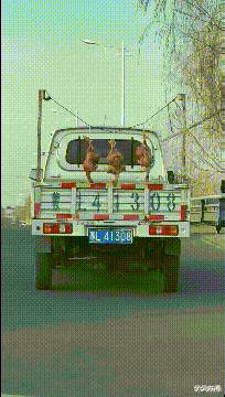 曝光95后女教师与70后中年男家长的真实聊天记录!