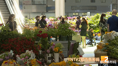 |外省人来了都羡慕，昆明这个地方人气暴涨！