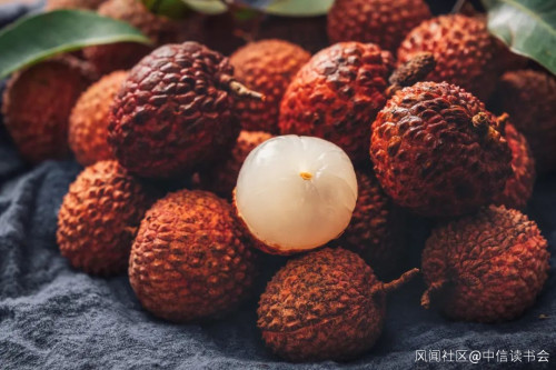 一年狂吃300万吨,最贵55万一颗:中国荔枝到底哪家强?