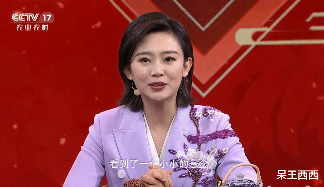 主持人|主持人大赛选手发展差距大:入职央视只是第一步,主持机会更关键