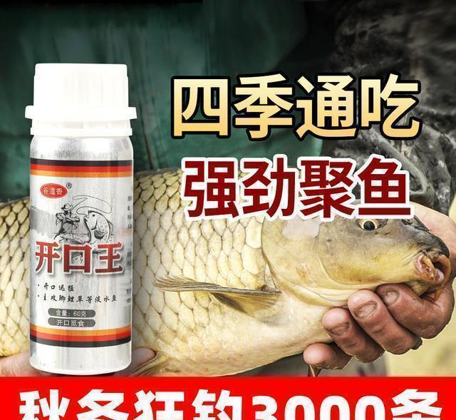 |这样钓鲜美的昂刺鱼很有效,不管白天、黑夜都有大惊喜