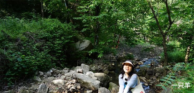 |这条秦岭沟谷，一进山就能看到美景，老人、孩子来玩也合适