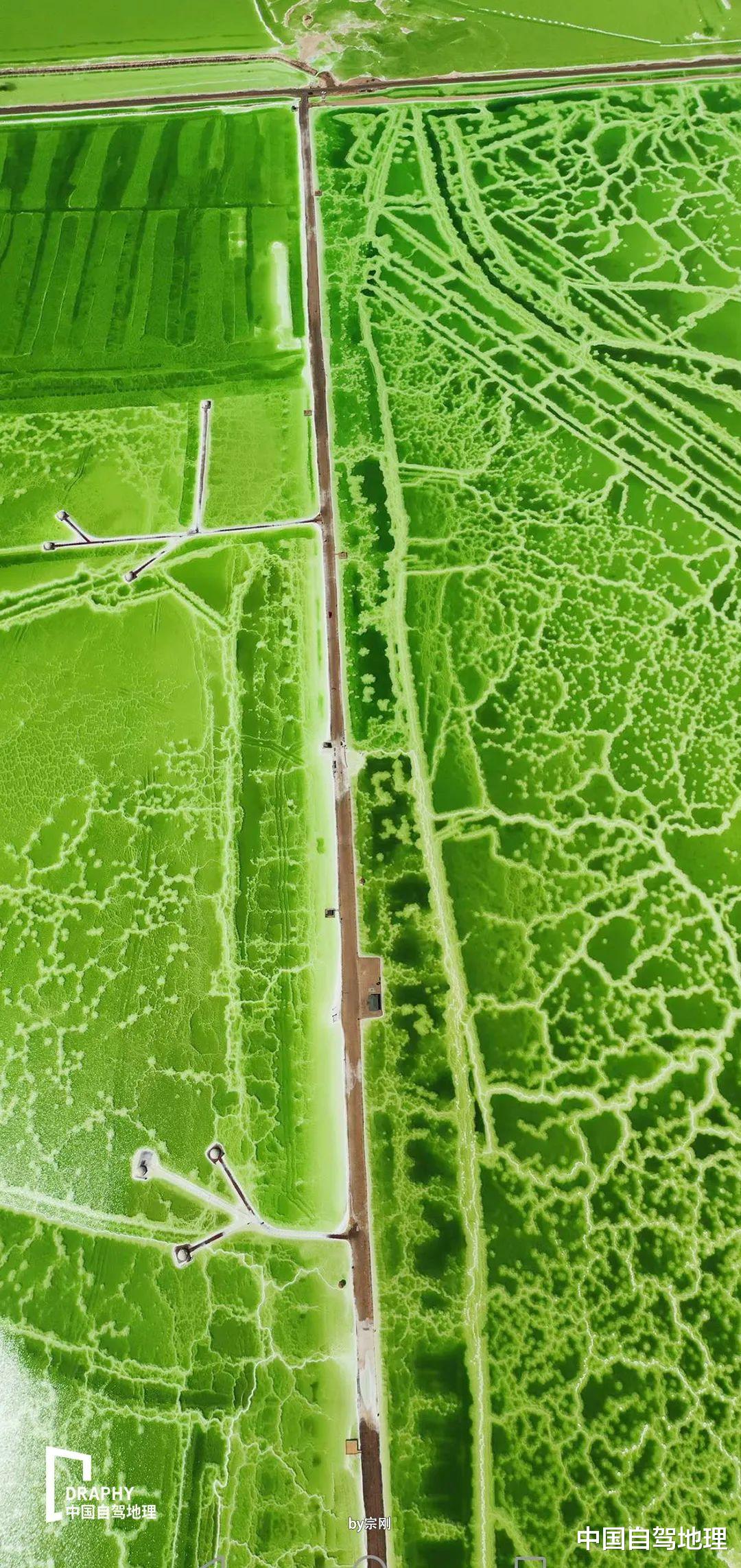 尼泊尔|比G318酸爽,最令人“头疼”的入藏公路公认是它!丨进藏系列路书