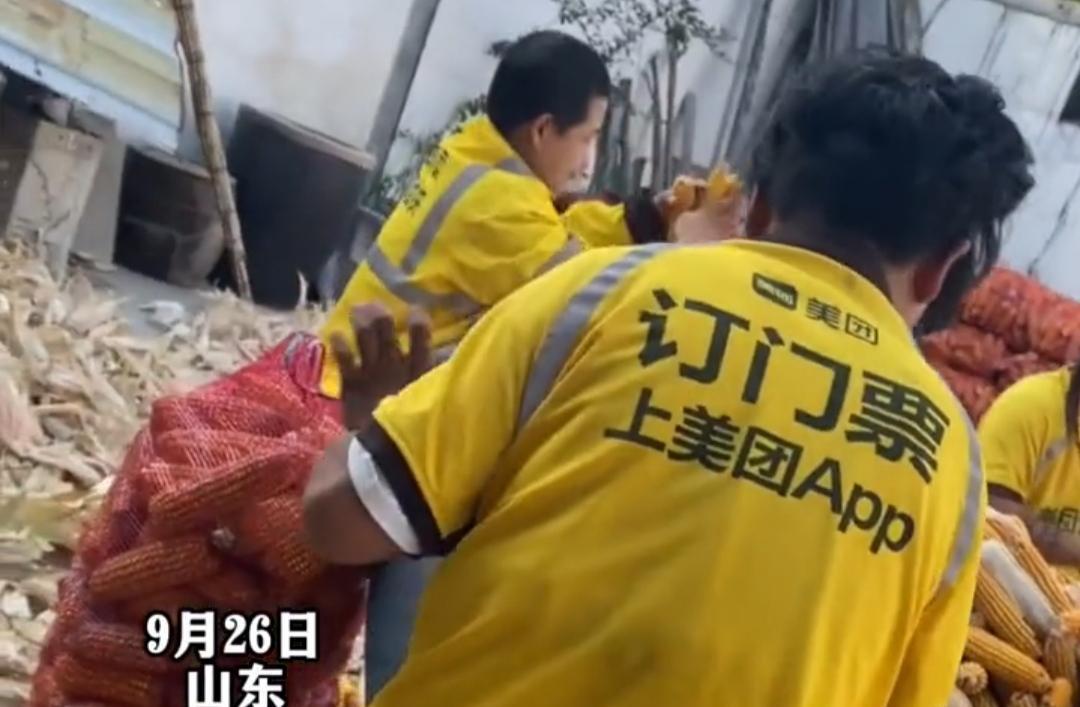 女子一个人在家秋收,请来三个骑手帮忙,邻居婶子们的反应亮了