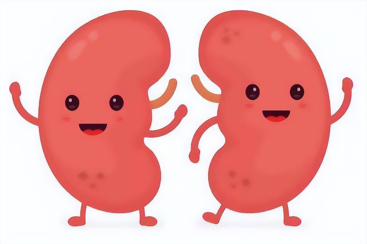 失眠|上焦热、下焦寒,解读一味中药,大补肾阳,引火归元,暖到骨子里