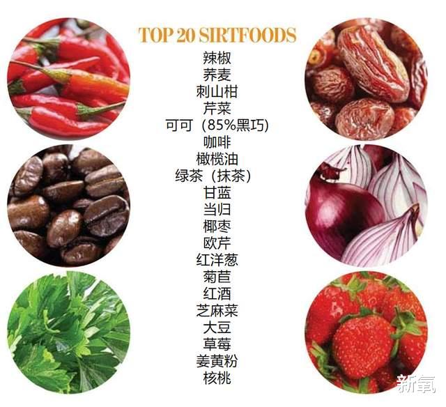 启动抗衰逆龄的【细胞自噬】生理机制究竟是什么?!