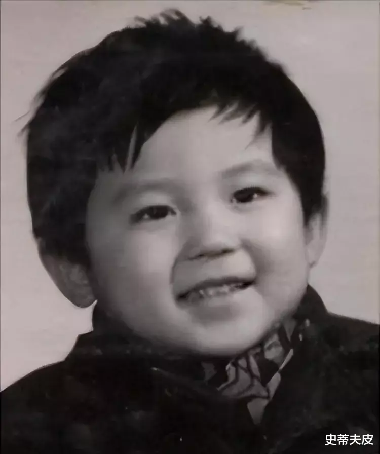 李晨|李晨的境遇，点醒了多少“不求上进”的艺人