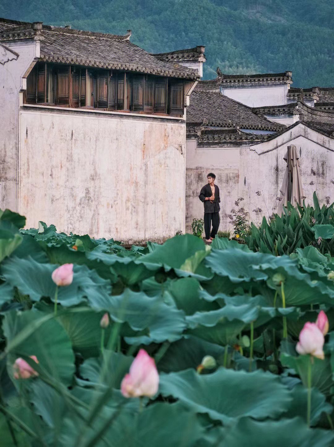 |后悔没早点来皖南！游走在画卷般的江南秘境