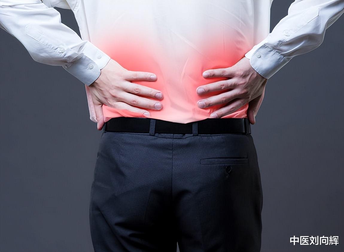 |“五脏之伤穷必及肾”,一味药,安五脏、养肾精、延年益寿