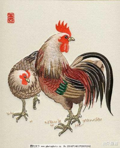 大学|被幸运眷顾的几大生肖，好运降临，万事顺意，添財添运。