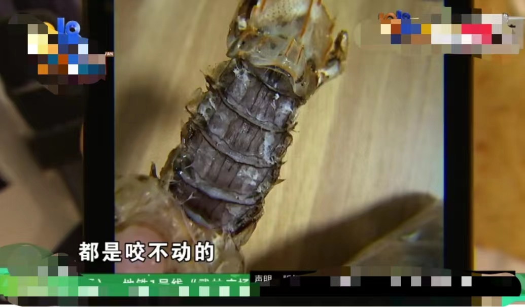 浙江杭州,一女子在“盒马”生鲜百货,看到活的皮皮虾99元2斤