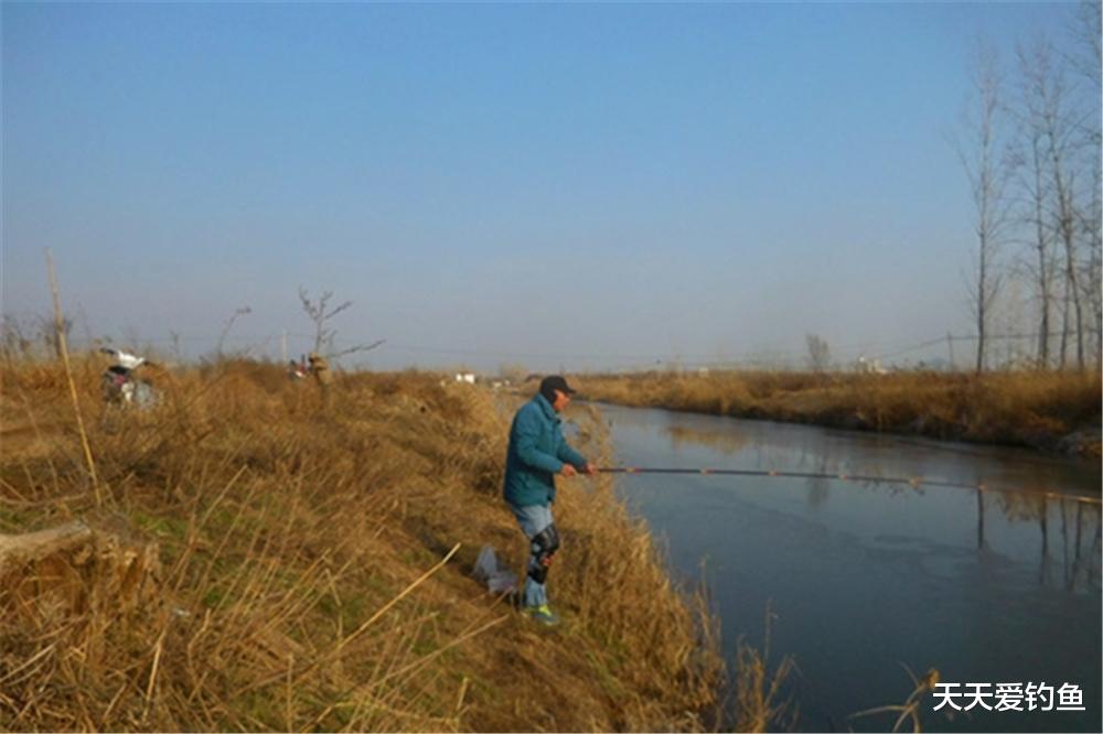 鲫鱼|冬天再冷都可以钓鱼,用好了这些招数,上钩全是大鲫鱼