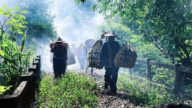 茶园|普洱精品茶旅线路推荐丨来一场“寻根探祖”的普洱茶“发烧之旅”！