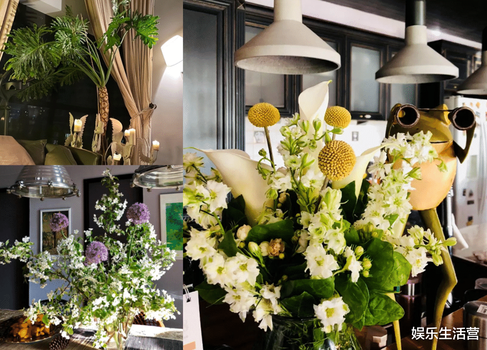 43岁殷桃豪宅火了，家装豪华古朴，一屋名贵花草，庭院像植物园