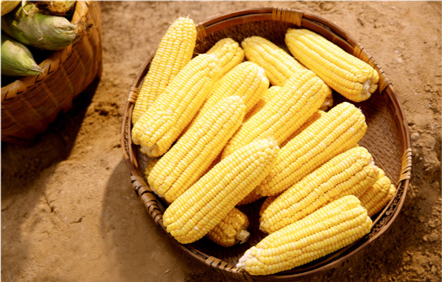 运动|玉米是胃炎的“催化剂”？医生提醒：3种食物吃得越多，胃越烂