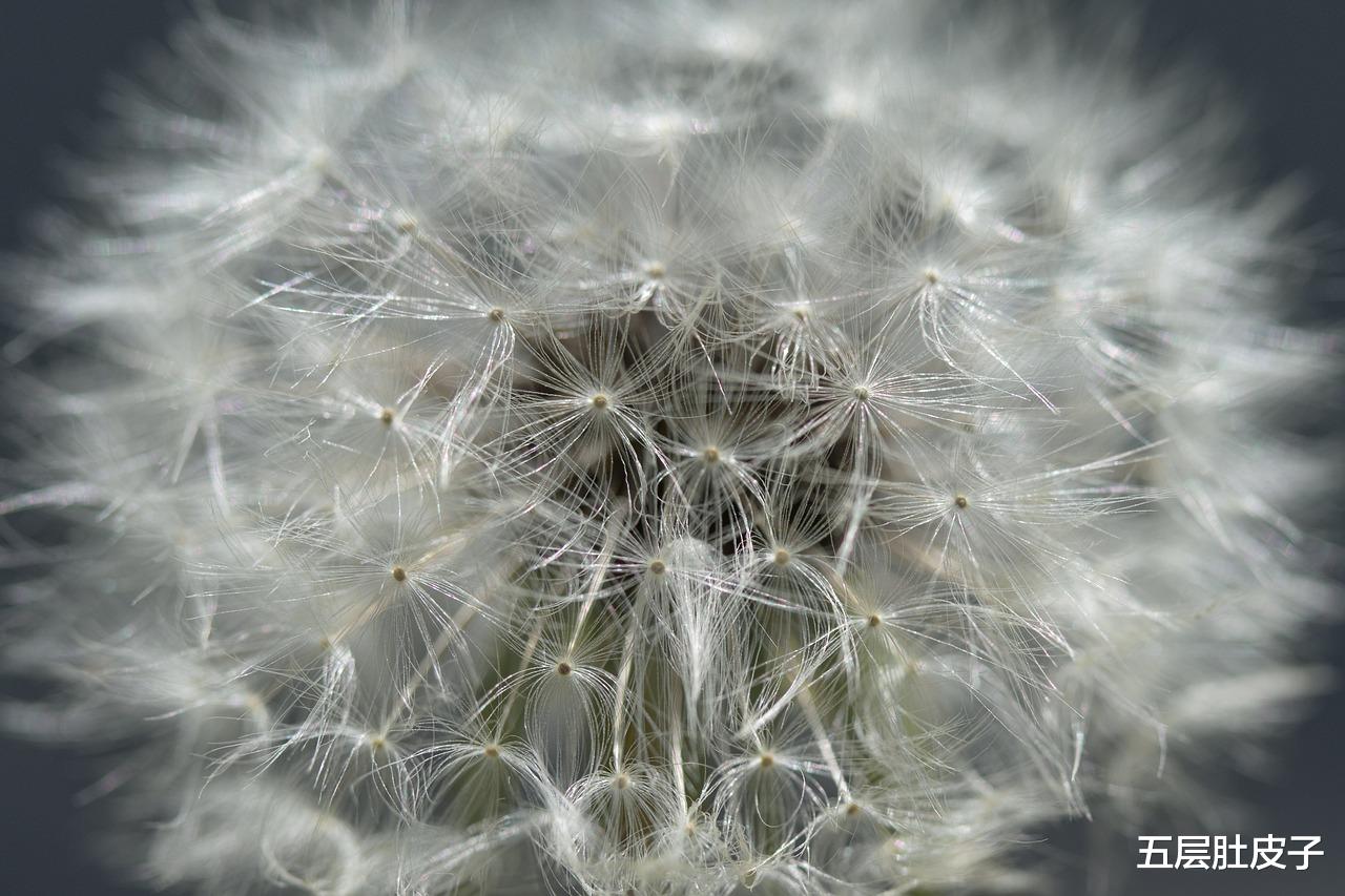 |你家不在北京全款买房,我就不嫁!结果男友咬牙买了,却不娶我了