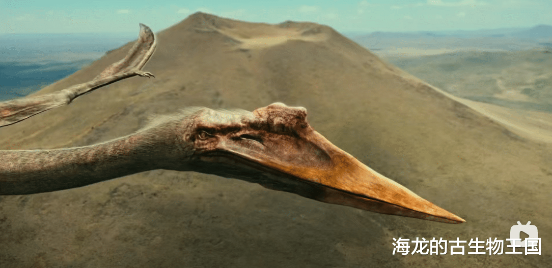 6500万年前，风神翼龙跌落神坛！恐龙迎来灭亡时刻！