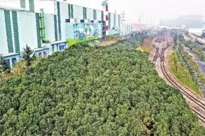 两当|中南大旅游研究院院长邓爱民教授：武钢要打造成具有时代特色的生态森林钢厂