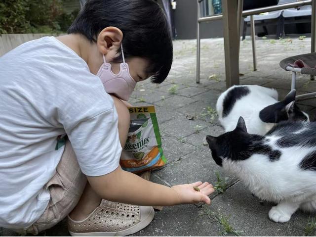 蔡琳|43岁蔡琳离异后独自带娃，家里没奢华装修却有三台冰箱，太有爱