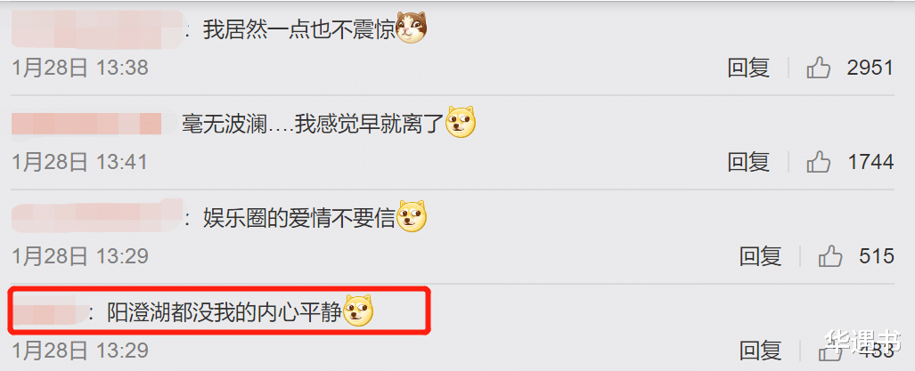 预告片|预热的大瓜,就这?