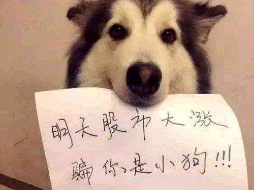 大A股专治各种不服,刚出ICU就玩撑杆跳