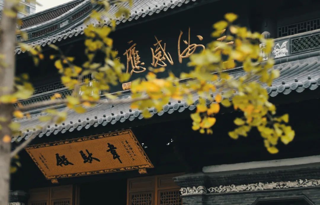 宁波|12次获评“中国最具幸福感城市”的宁波人，到底有多厉害？