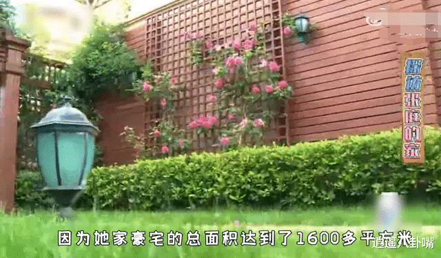 张庭|被“低估”的张庭？她一直用“演”，创造了数百亿身家