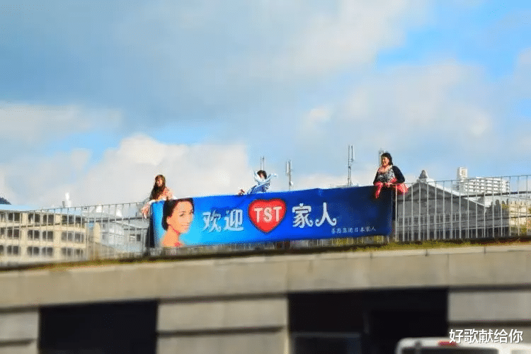 张庭|再见,张庭,再见,陶虹!明星赚“黑心钱”的日子,一去不复返了