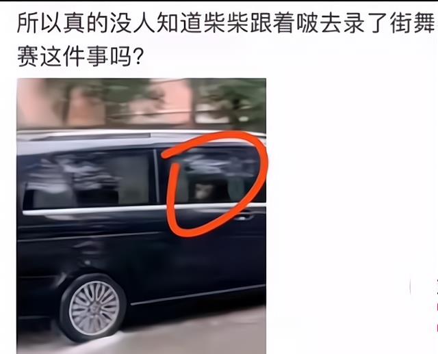 肖战|磕到了!肖战生日王一博疑似送蛋糕,随后带着“柴犬”回酒店