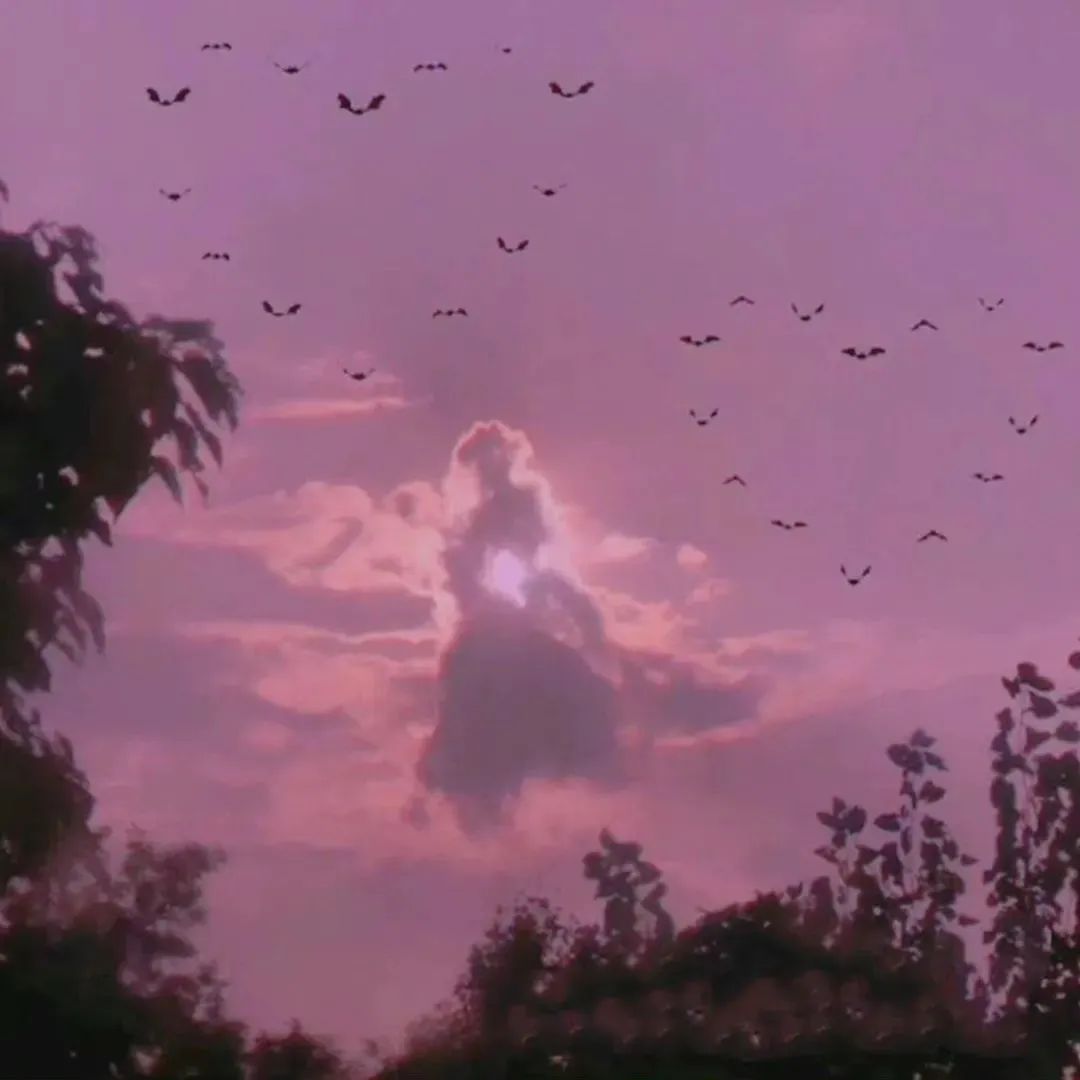 |意味绵长的小众风格文案