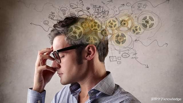 加班会让大脑“中毒”!科学家最新成果:谷氨酸含量增加