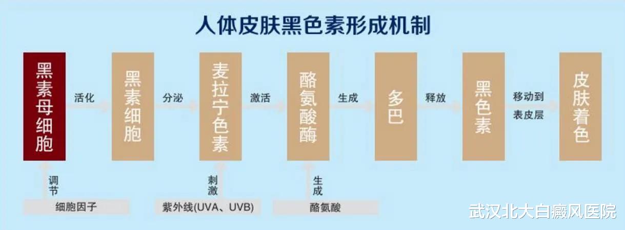 肝硬化|白癜风饮食指南|教你怎么吃白斑好得快!