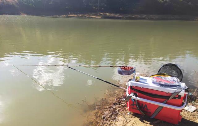 |钓鱼人的水平高不高,看这6点就清楚了!