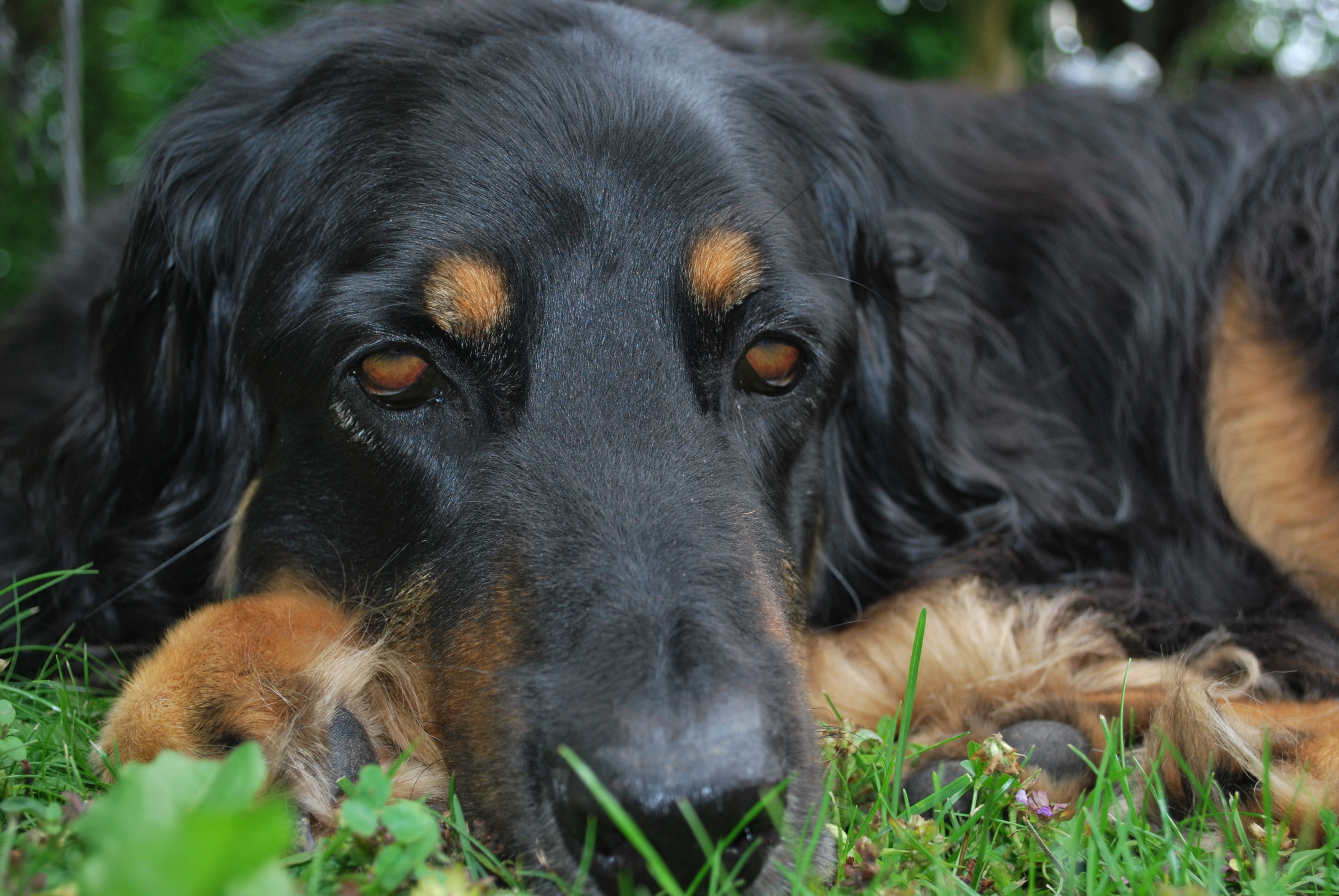 求职|南渝先生：2001年 生肖蛇 2022年运势