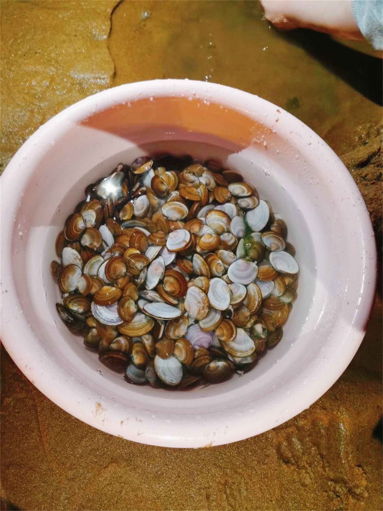 日照|日照旅游, 日照暑期旅游攻略,日照最适合自驾游线路