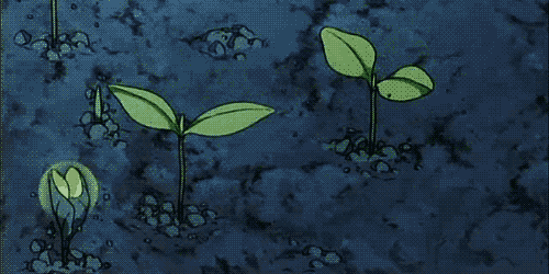 地球独子:曾全世界仅剩一株!配备守卫,种子送上太空只为拯救它!
