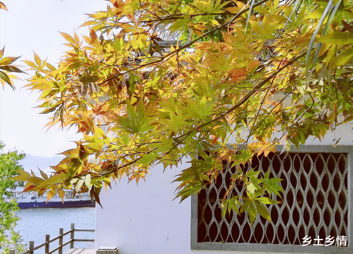 养生|人到中年，最高级的养生，不是睡觉，不是锻炼