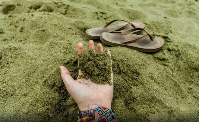 旅游市场|节假日想去旅游，又怕人多，那就去远一些的地方