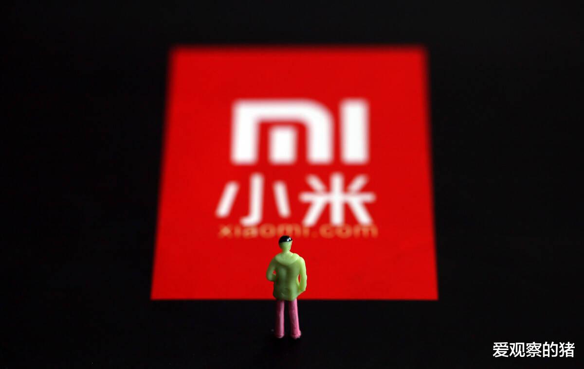 智能门锁|在智能门锁行业,为什么连“老牌大厂”都不是小米的对手?