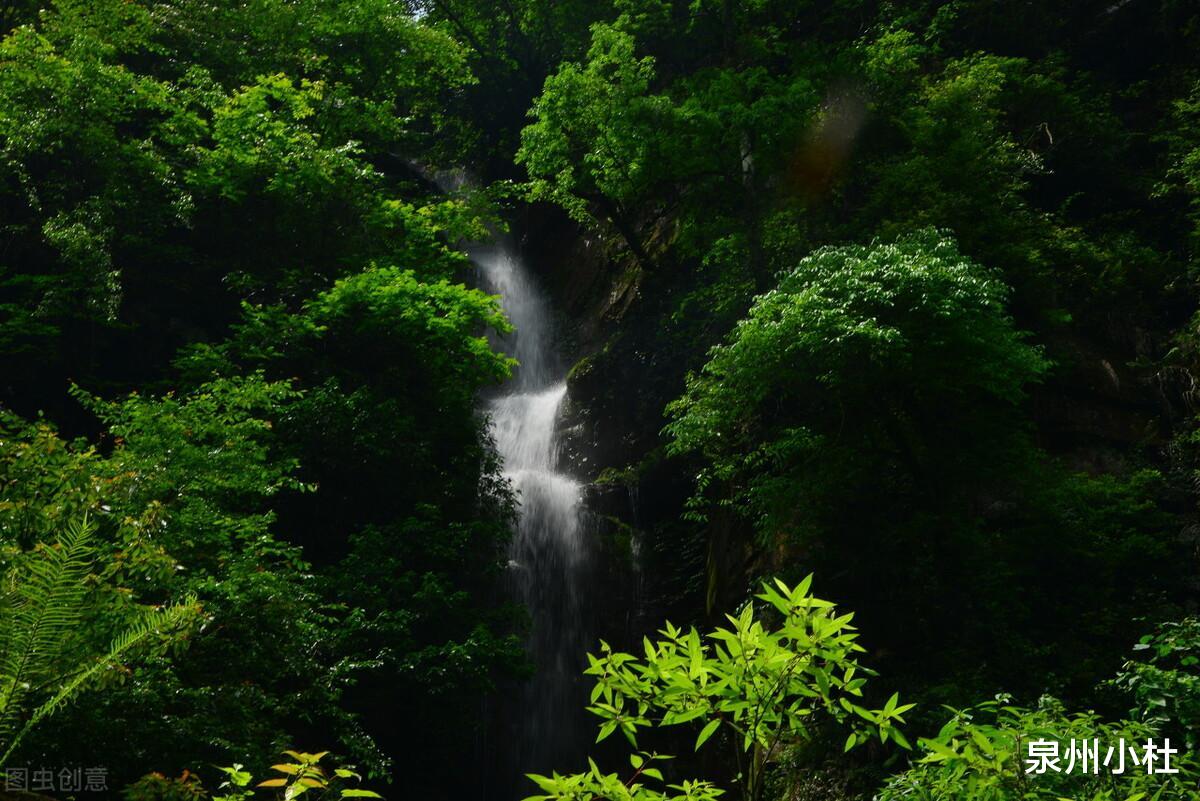 川藏公路|雅安碧峰峡，到天然氧吧避暑纳凉，看萌萌的大熊猫