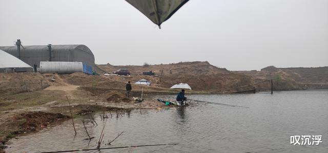 大板|清明过后,遇到这种天气请假也要去钓鱼,大板鲫排队咬钩