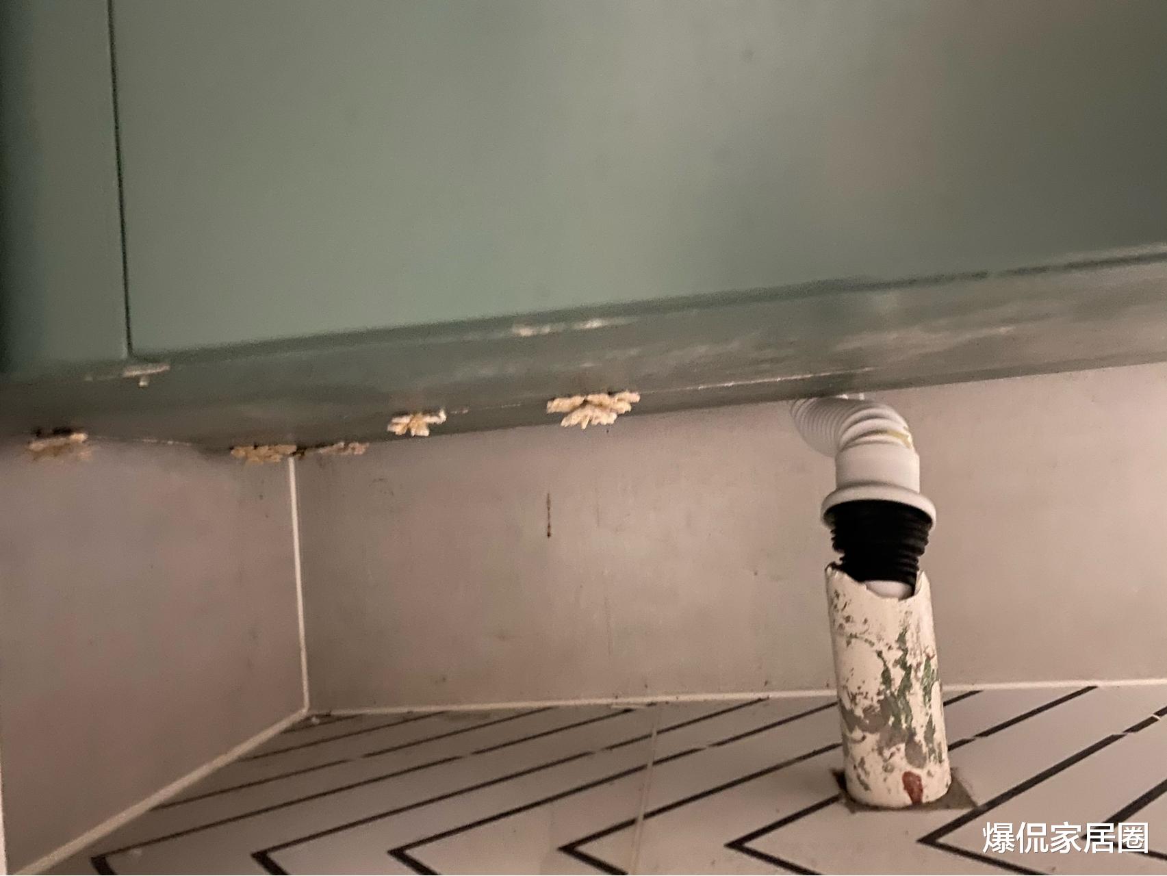 若再装修,卫生间一定坚持“8不装”,不是矫情,而是经验和教训