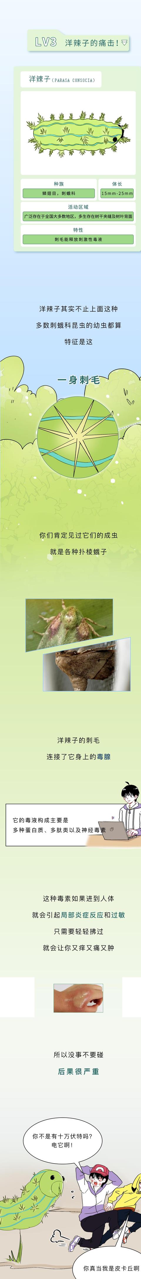 警惕!最近看到这些虫子,千万不能拍