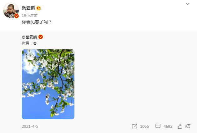 岳云鹏|岳云鹏:你看见春了吗?网友:你看见饺子了吗?