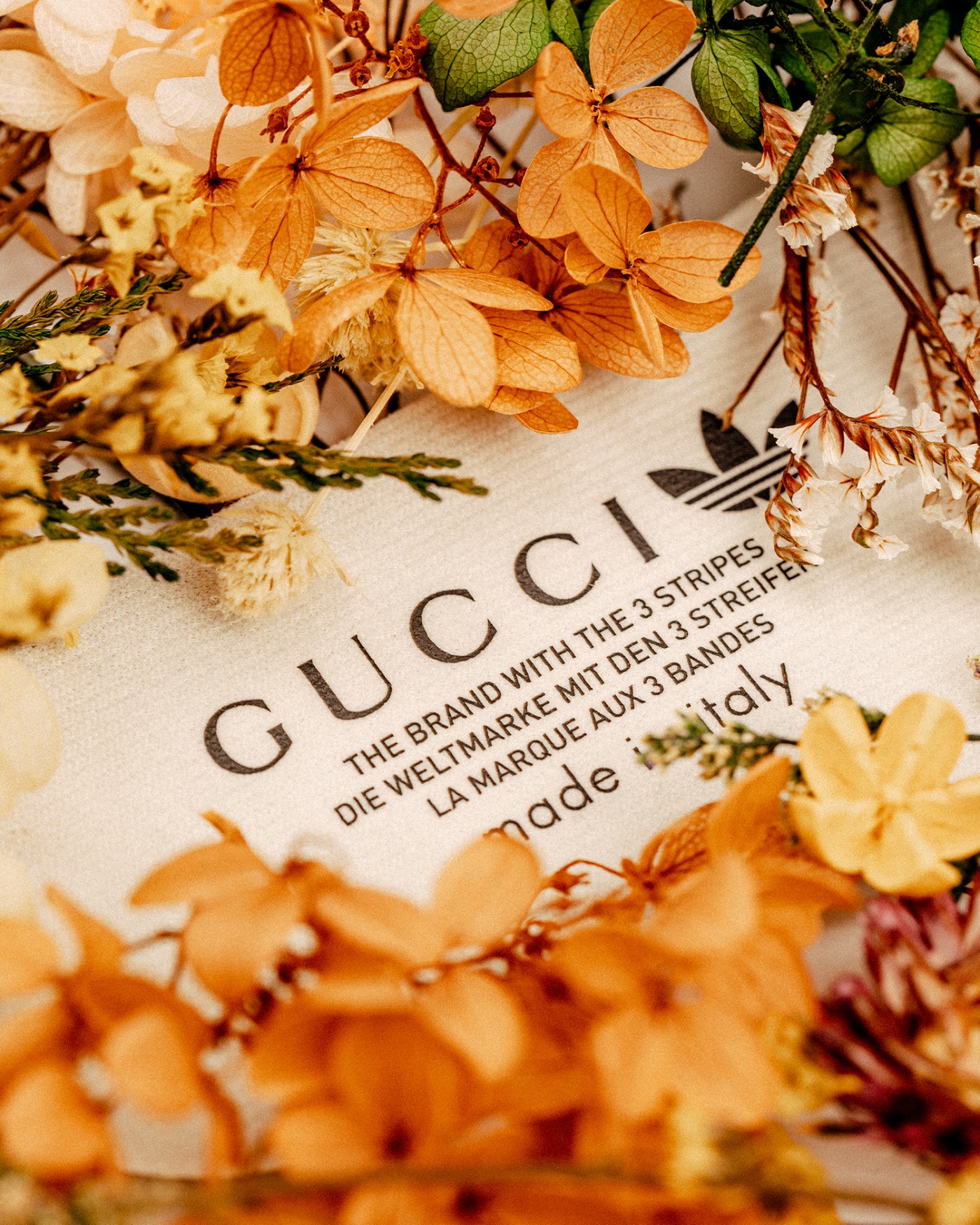 有钱人标配！开箱今年「最贵球鞋」之一！看到千万别不认识！